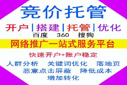 行业报告：专业SEM托管的成功实践与挑战